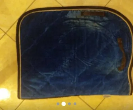 Tapis horse division