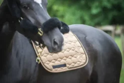 Tapis Mattes Eurofit Deluxe Edition hiver 2020 - Sable satiné