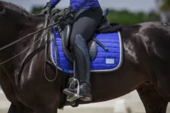 Tapis Royal Blue - Equito