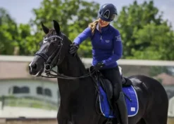 Tapis Royal Blue - Equito