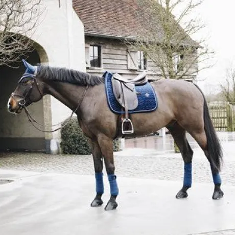 Tapis Velvet Basic Kentucky - Bleu Marine
