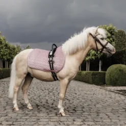 Tapis Velvet Pony - Kentucky