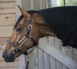 ThinLine Busy Buddy - Aide votre cheval à se relaxer