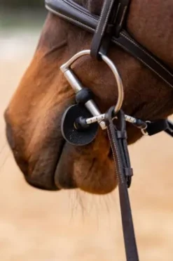 ThinLine Busy Buddy - Aide votre cheval à se relaxer