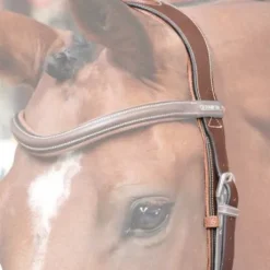 Têtière New York - Jump'In - Collection One