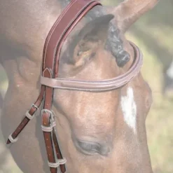 Têtière Paris / Bruxelles - Jump'In - Cuir