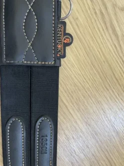 Vend sangle anatomique Kentucky