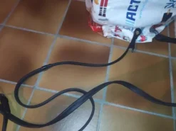 Vends fillet taille poney