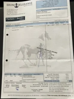 Vente Amortisseur Neuf Bruno Delgrange
