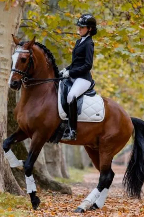 Veste de concours JADE - Cavalliera - Softshell technique