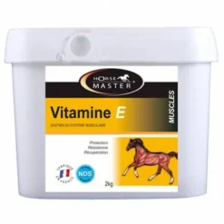 Vitamine E cheval - Récupération musculaire